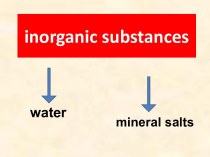 Inorganic substances. Water. Mineral salts