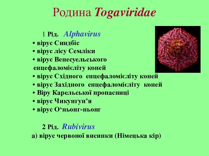 Родина Togaviridae  	1 Рід.  Alphavirusвірус Синдбісвірус лісу Семлікивірус Венесуельського енцефаломієліту