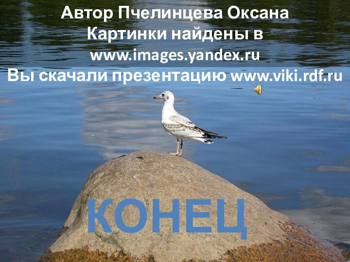 КОНЕЦАвтор Пчелинцева ОксанаКартинки найдены в www.images.yandex.ruВы скачали презентацию www.viki.rdf.ru