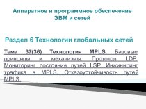 Технология MPLS. Базовые принципы и механизмы. Протокол LDP. Мониторинг состояния путей LSP. Инжиниринг трафика в MPLS