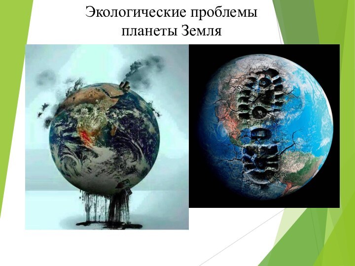 Экологические проблемы планеты Земля