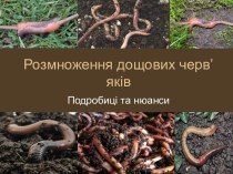 Розмноження дощових черв’яків