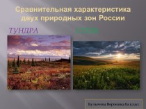 Сравнительная характеристика двух природных зон России: тундра, степь