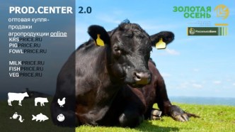 PROD.CENTER 2.0. Оптовая купля-продажи агропродукции online