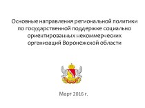 Направления по государственной поддержке СОНКО Воронежской области