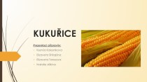 Obecná charakteristika světové rozšíření kukuřice je jedná z nejrozšířenějších plodin