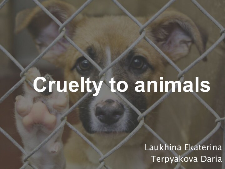 Cruelty to animalsLaukhina EkaterinaTerpyakova Daria