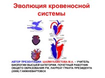 Эволюция кровеносной системы