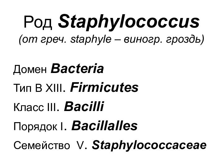 Род Staphylococcus (от греч. staphyle – виногр. гроздь)Домен BacteriaТип B XIII. FirmicutesКласс