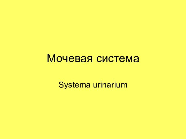 Мочевая системаSystema urinarium