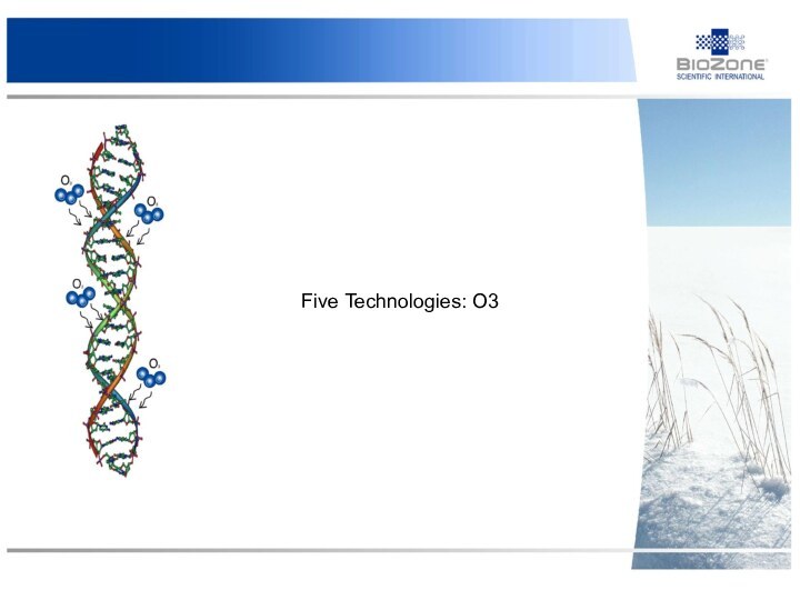 Five Technologies: O3