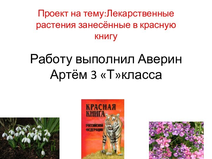 Работу выполнил Аверин Артём 3 «Т»классаПроект на тему:Лекарственные растения занесённые в красную книгу
