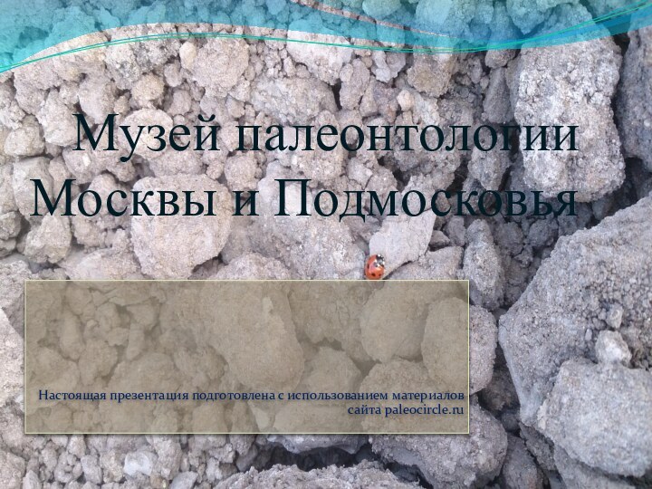 Настоящая презентация подготовлена с использованием материалов сайта paleocircle.ruМузей палеонтологии Москвы и Подмосковья