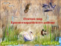 Птичий мир Красногвардейского района