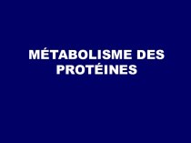 Métabolisme des protéines