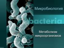 Метаболизм микроорганизмов