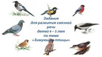 Зимующие птицы. Задания для развития связной речи детей 4-5 лет