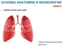 Физиология дыхания