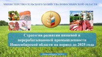 Стратегия развития пищевой и перерабатывающей промышленности Новосибирской области на период до 2025 года