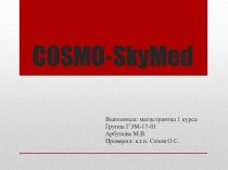 COSMO-SkyMed. Решаемые задачи