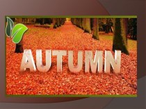 Autumn is one of the four seasons