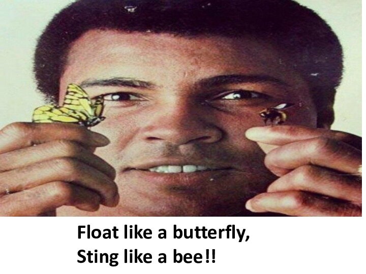 Float like a butterfly, Sting like a bee!!