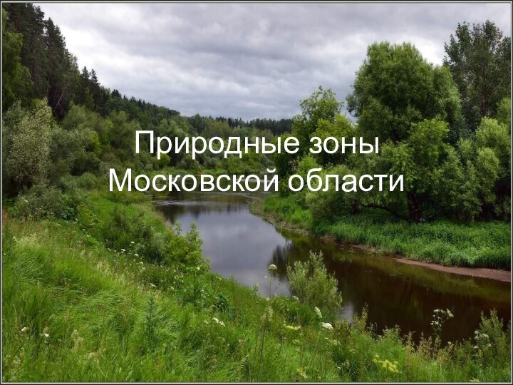 Природные зоны Московской области