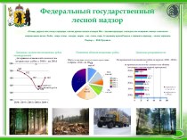 Федеральный государственный лесной надзор