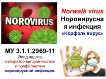 Норовирусная инфекция Норфолк вирус