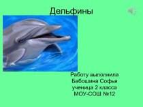 Млекопитающие дельфины. Осьминоги