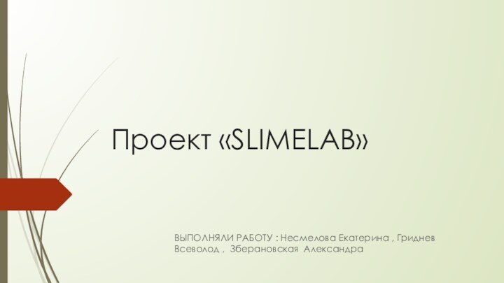 Проект «SLIMELAB»