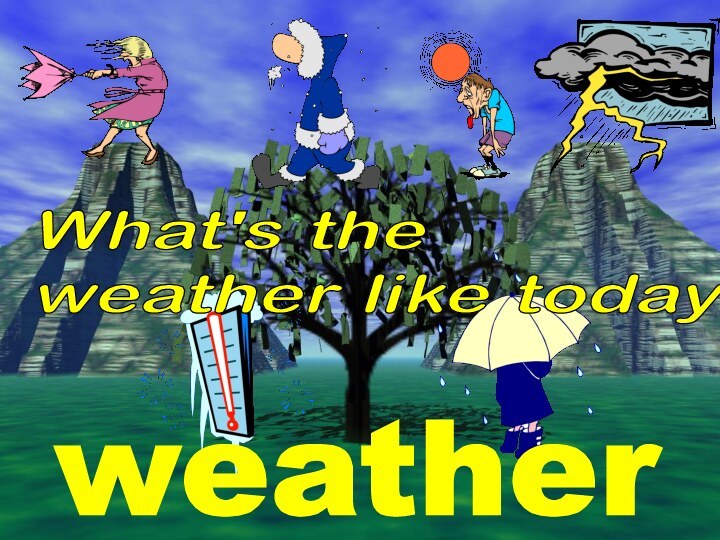 What's the  weather like today?weather