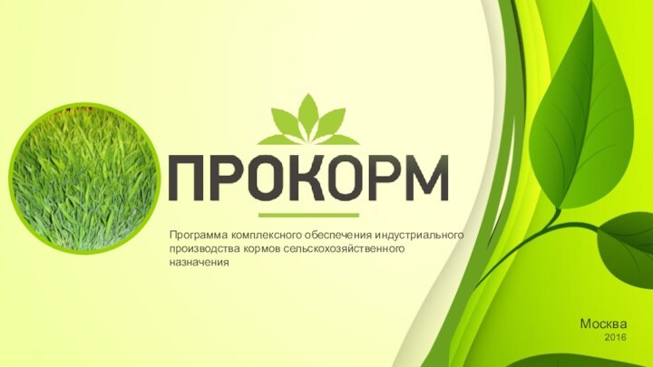 Программа комплексного обеспечения индустриального производства кормов сельскохозяйственного назначенияМосква2016