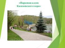 Парковая аллея Касимовского озера