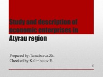 Study and description of economic enterprises in Atyrau region