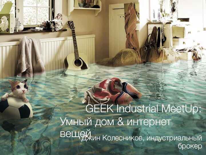 GEEK Industrial MeetUp:Умный дом & интернет вещейДжин Колесников, индустриальный брокер
