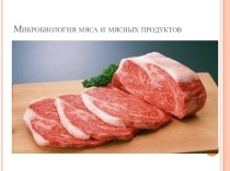 Микробиология мяса и мясных продуктов