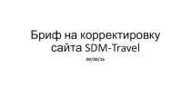 Бриф на корректировку сайта SDM-Travel
