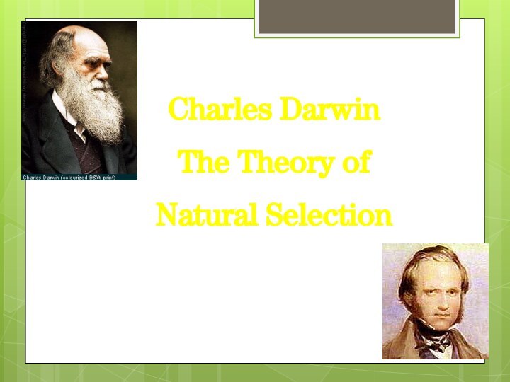 Charles DarwinThe Theory of Natural Selection