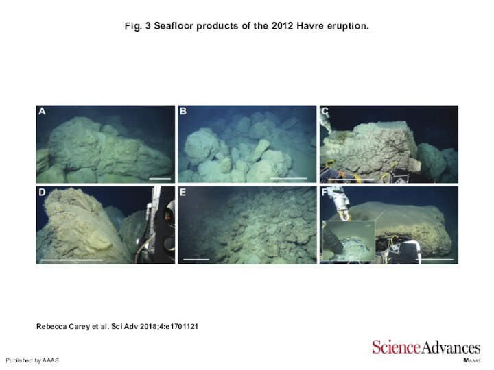 Fig. 3 Seafloor products of the 2012 Havre eruption.Rebecca Carey et al.