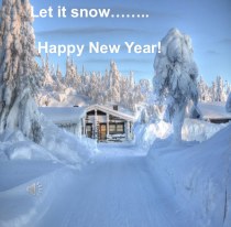 Let it snow... Happy New Year