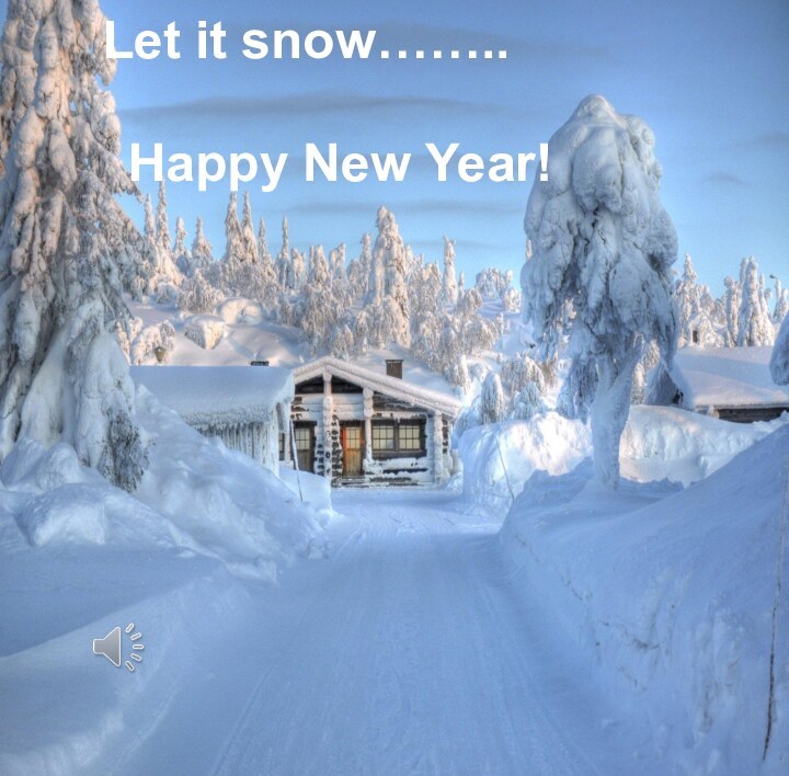 Let it snow……..Happy New Year!