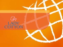 Ватная продукция Lady Cotton