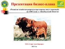 Развитие хозяйства-репродуктора породы ангус (красный) на 1500 голов в Жамбылской области. Бизнес - план