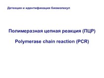 Детекция и идентификация биомолекул. Полимеразная цепная реакция (ПЦР)