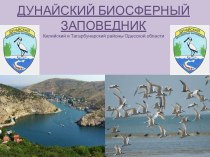 Дунайский биосферный заповедник. Килийский и Татарбунарский районы Одесской области