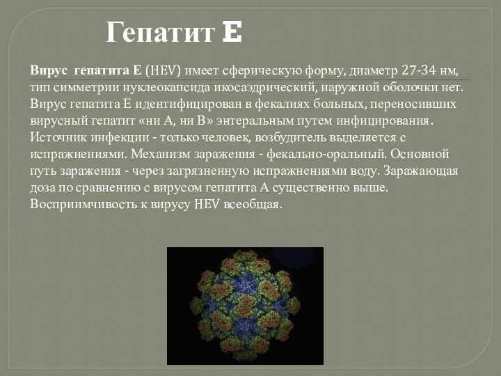Гепатит EВирус гепатита Е (HEV) имеет сферическую форму, диаметр 27-34 нм, тип