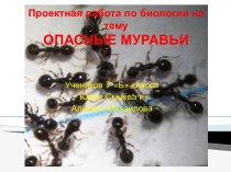 Проектная работа по биологии на тему Опасные муравьи