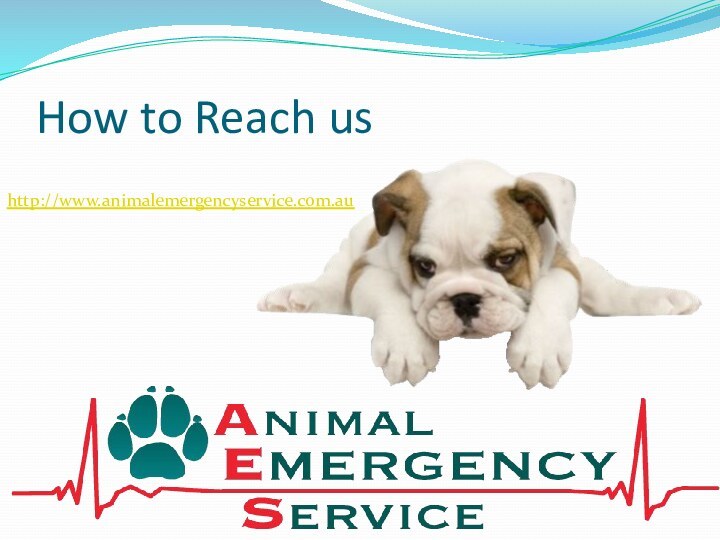 How to Reach ushttp://www.animalemergencyservice.com.au