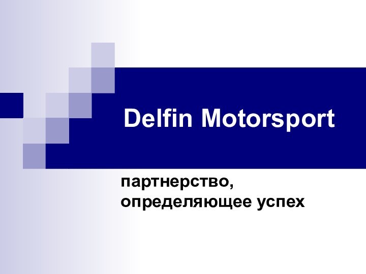 Delfin Motorsport партнерство, определяющее успех